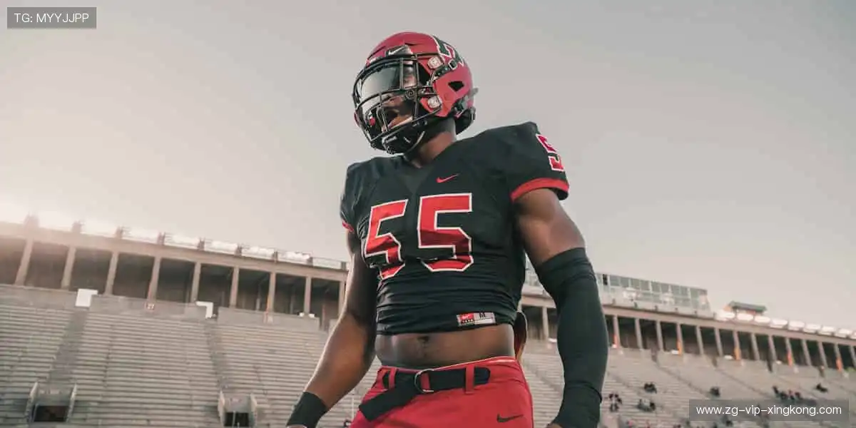 🎯 装备升级，战力翻倍！专业运动周边，为热爱保驾护航💪